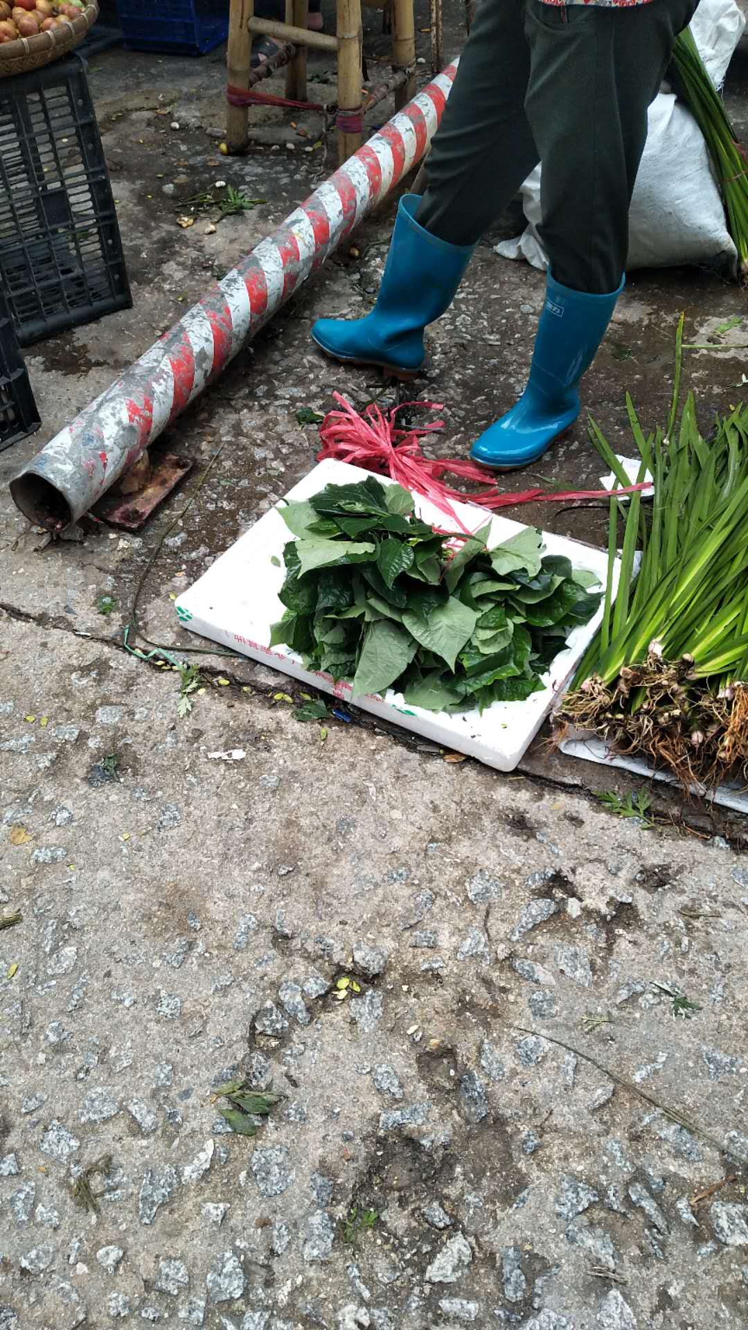 端午节前夕,端午节前夕的放松