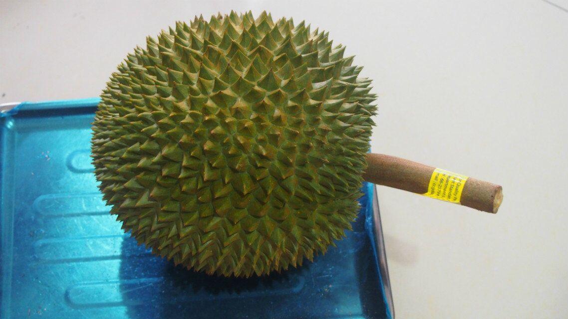 榴莲猫山王和金枕哪个核大,干尧榴莲跟金枕榴莲猫山王