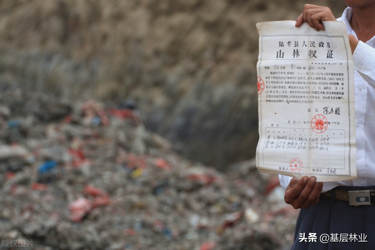 承包林地合同到期林权证还有效吗,新老林权证以哪个为准