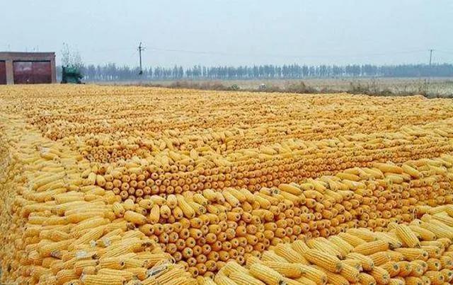 农村铺床经典顺口溜,来整理一下农村顺口溜都是经典