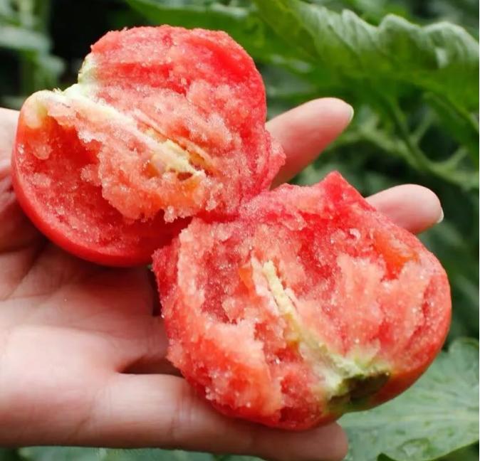 具有山东特色的水果有哪些,山东最有营养的水果