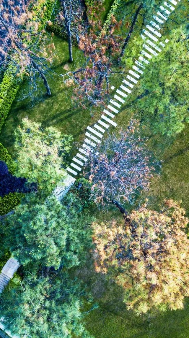 公路直线设计,一条直线厨房设计