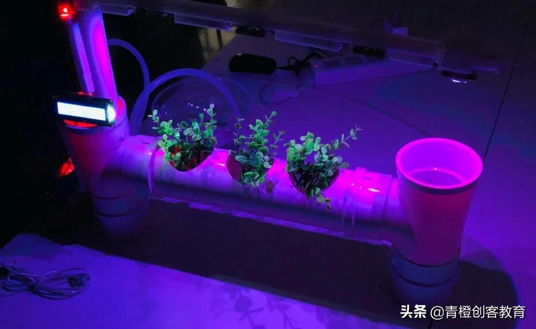 青橙设计工作室,成都青橙营地夏令营