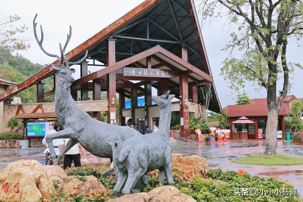 三亚吃住行,三亚自由行海边住宿攻略