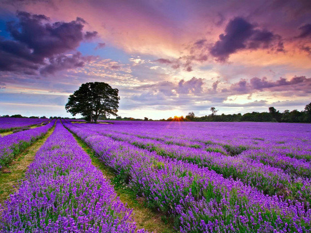 疆之旅自驾游,新疆阿勒泰新旅程