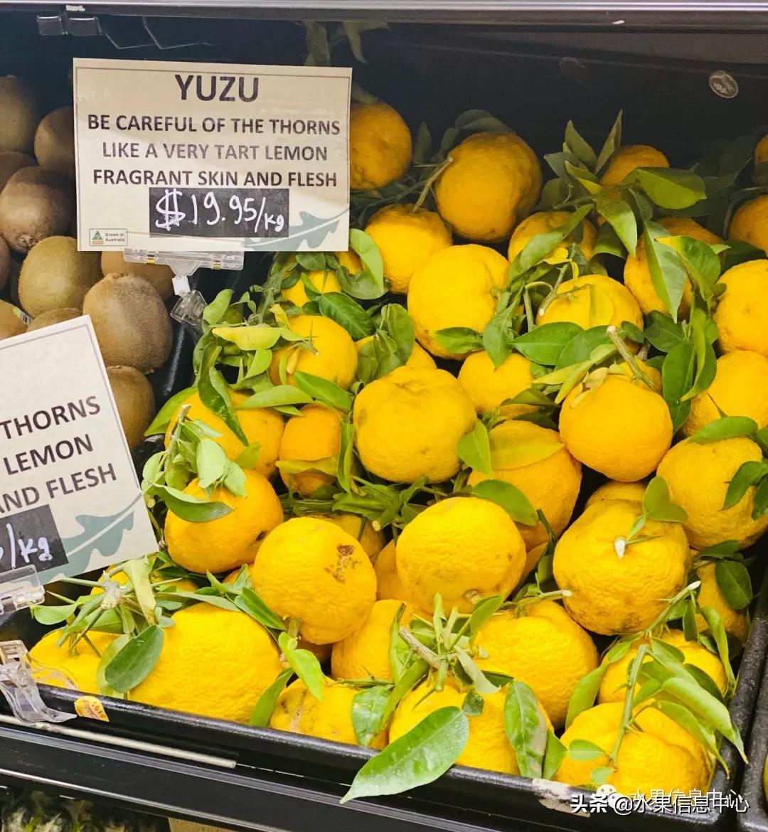 最近卖的比较火的水果店,最近新出来的水果店