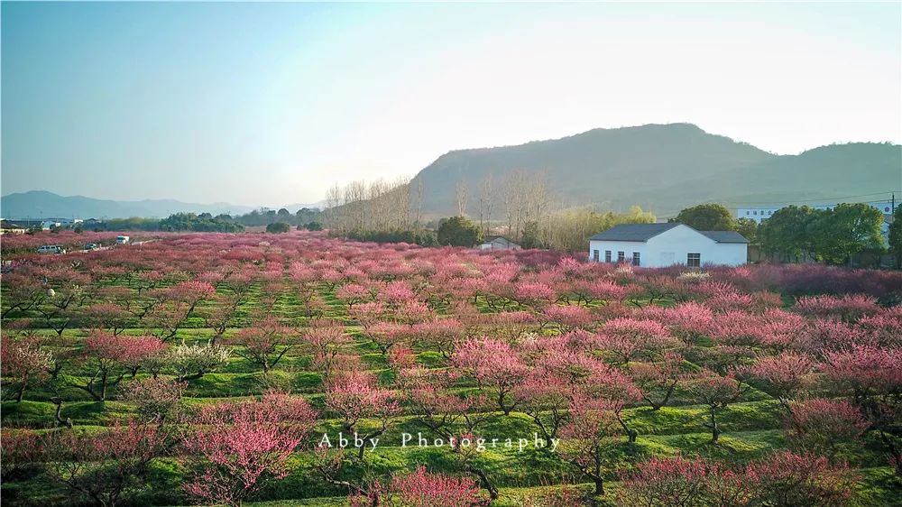 绳命是如此的精彩！网红僧人延参法师为宜兴春游踏青打call！