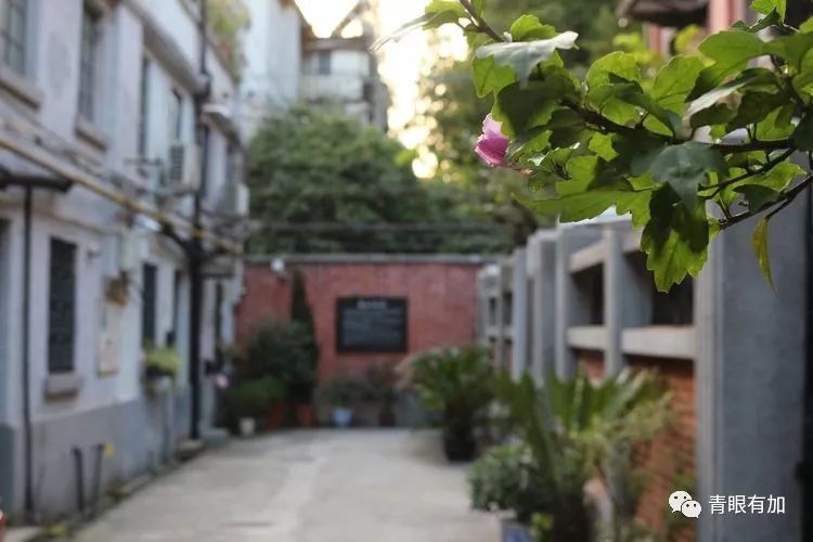 上海黄河路132弄,上海山阴路132弄图片