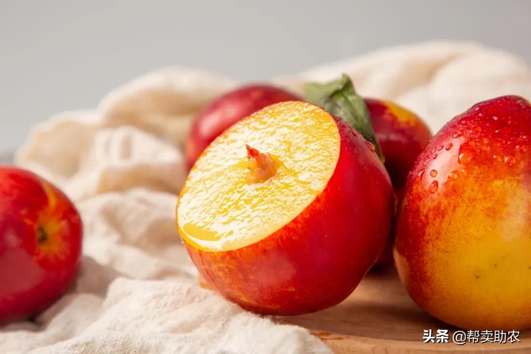 又脆又甜的油桃真好吃,油桃脆甜多汁爽口