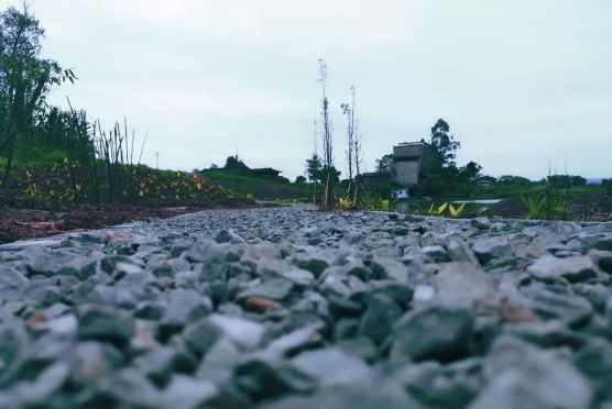 田园风光稻田帐篷,稻田星空露营基地