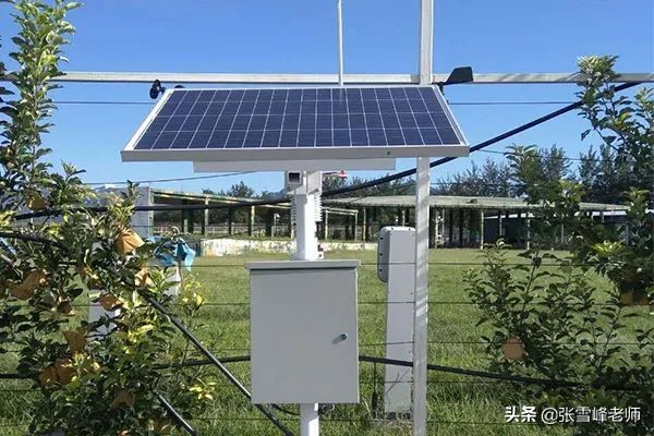 张雪峰讲文科二本最好专业,张雪峰讲北大最好的专业