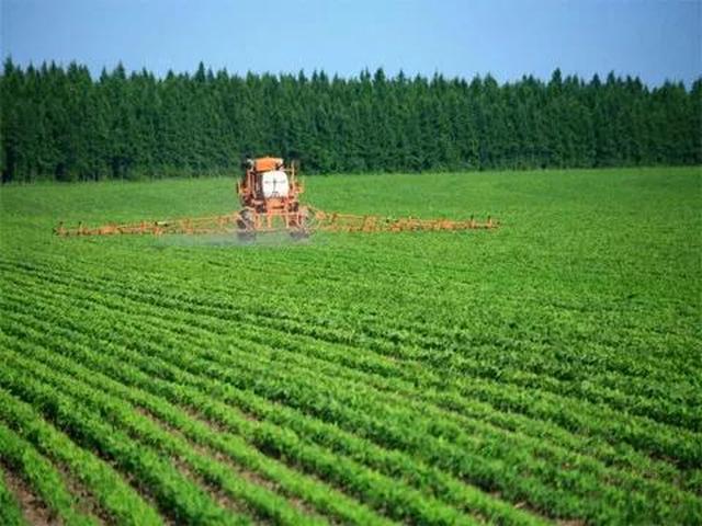 黑龙江百日攻坚行动什么时候结束,黑龙江会战100天