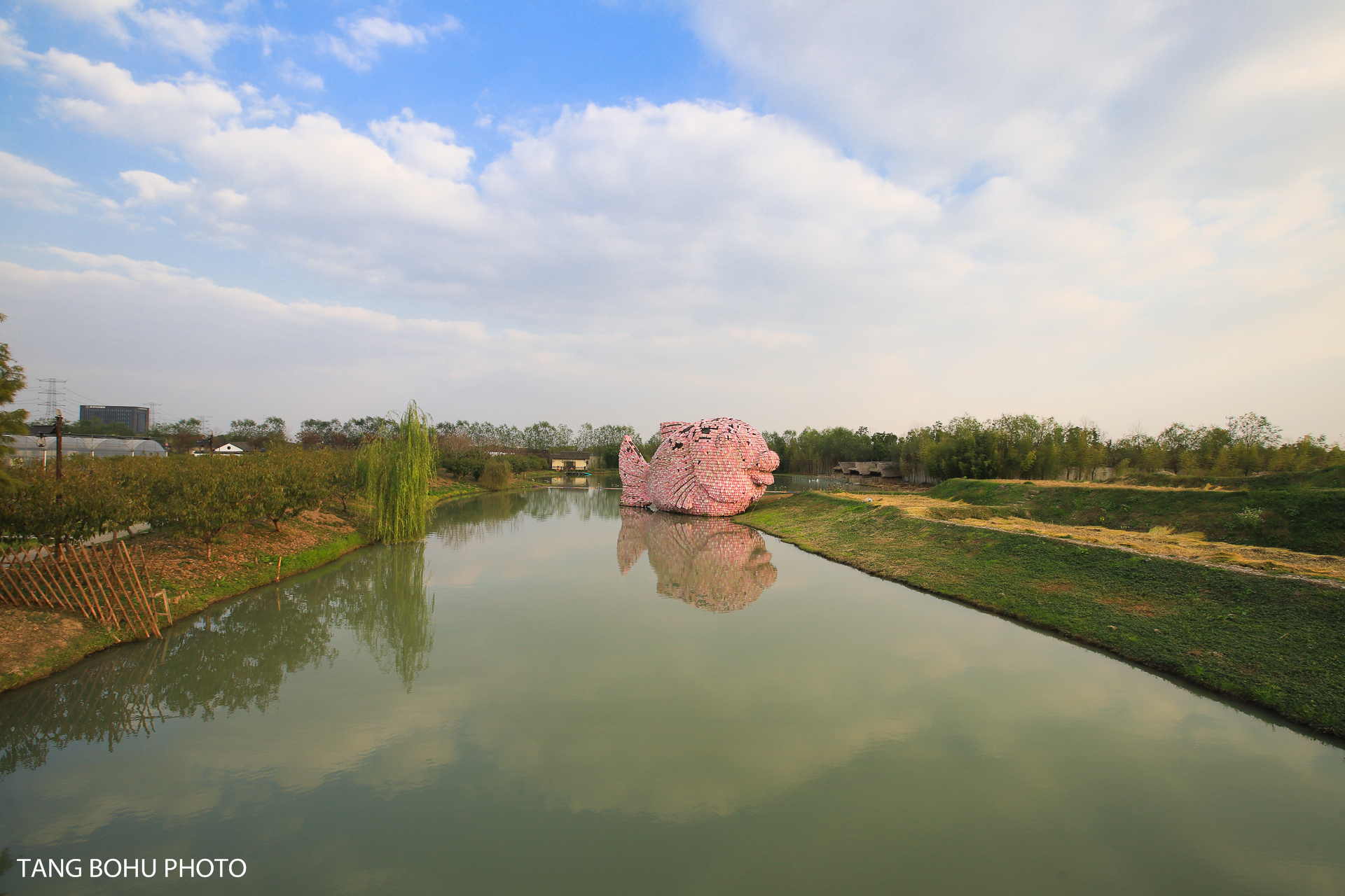乌镇，来过未曾离开，感受小桥流水人家的静谧安闲