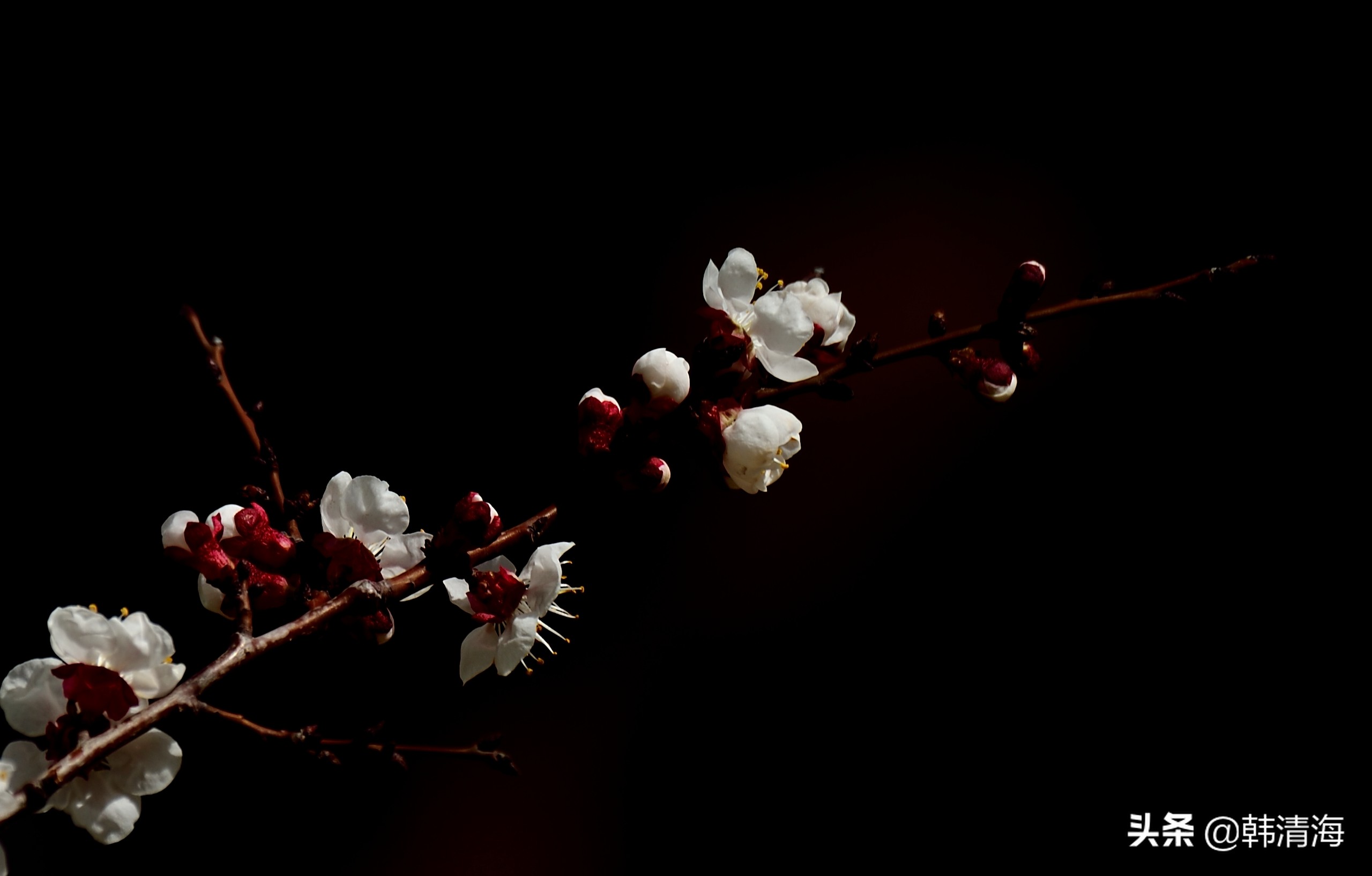 天津市南开区水畔花园简介,天津南开水畔花园洋房