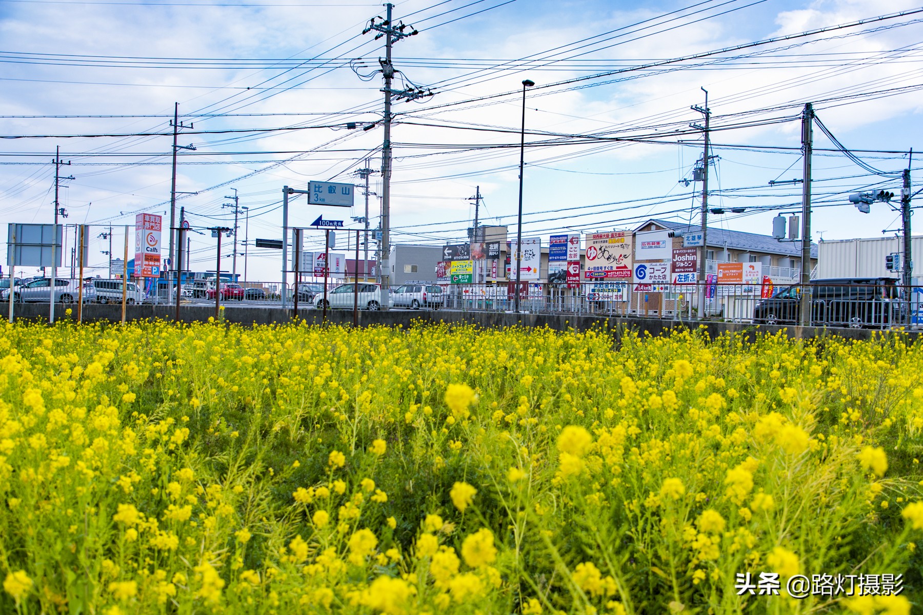 大津，不能错过的日本小众赏樱地，距离京都仅10分钟车程
