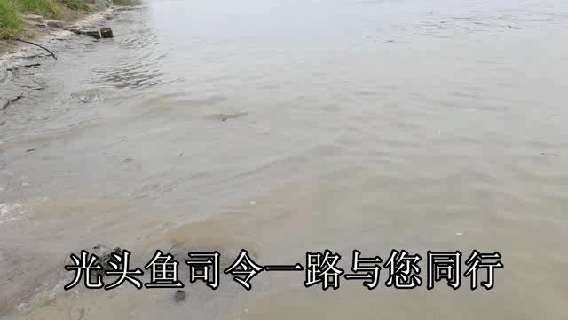 钓不到鱼说是钓友技术问题,钓不到鱼怀疑饵料有问题