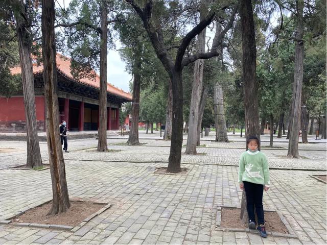 走进孔子的故乡山东曲阜孔庙