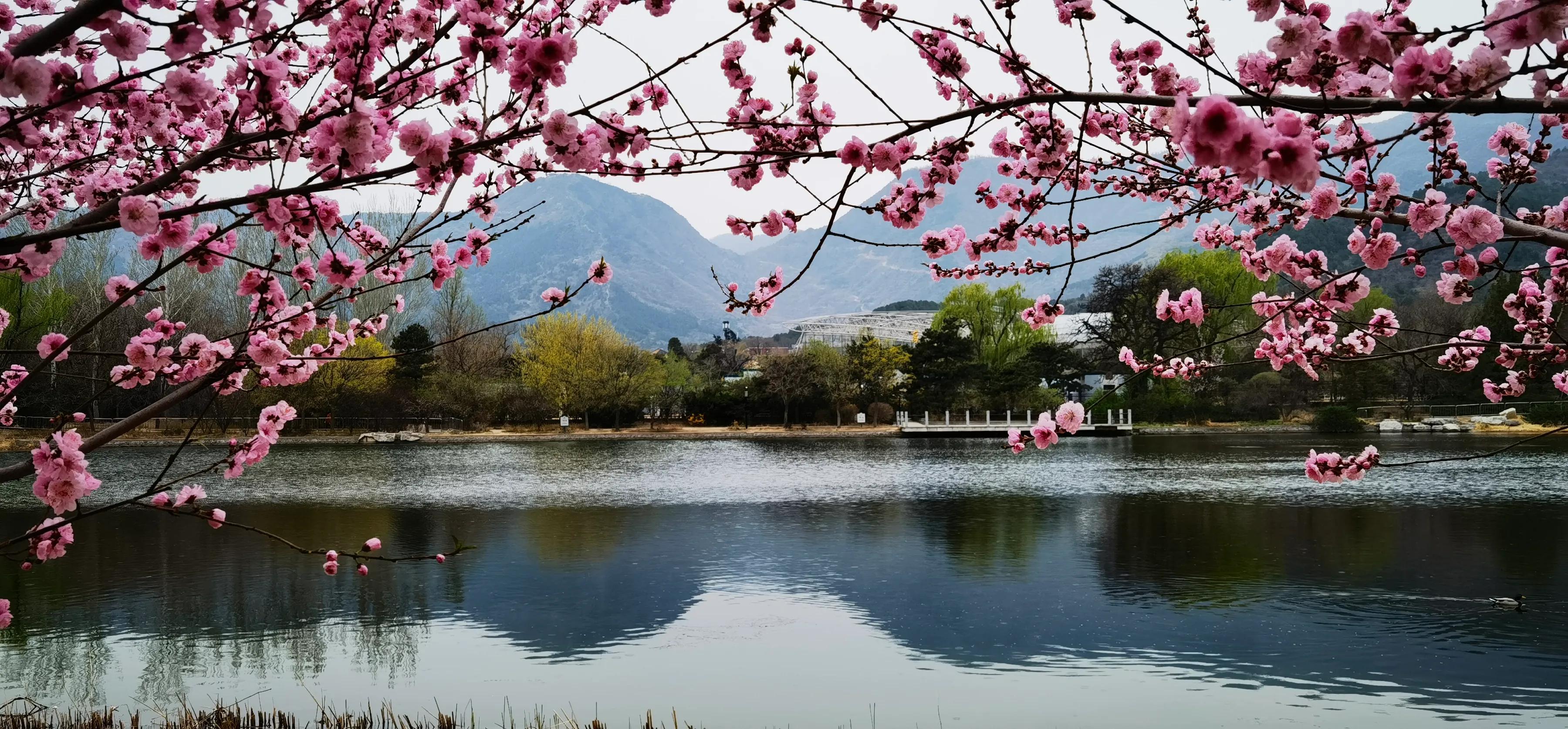 手拍世界手机摄影平台,手机摄影作品集大全集