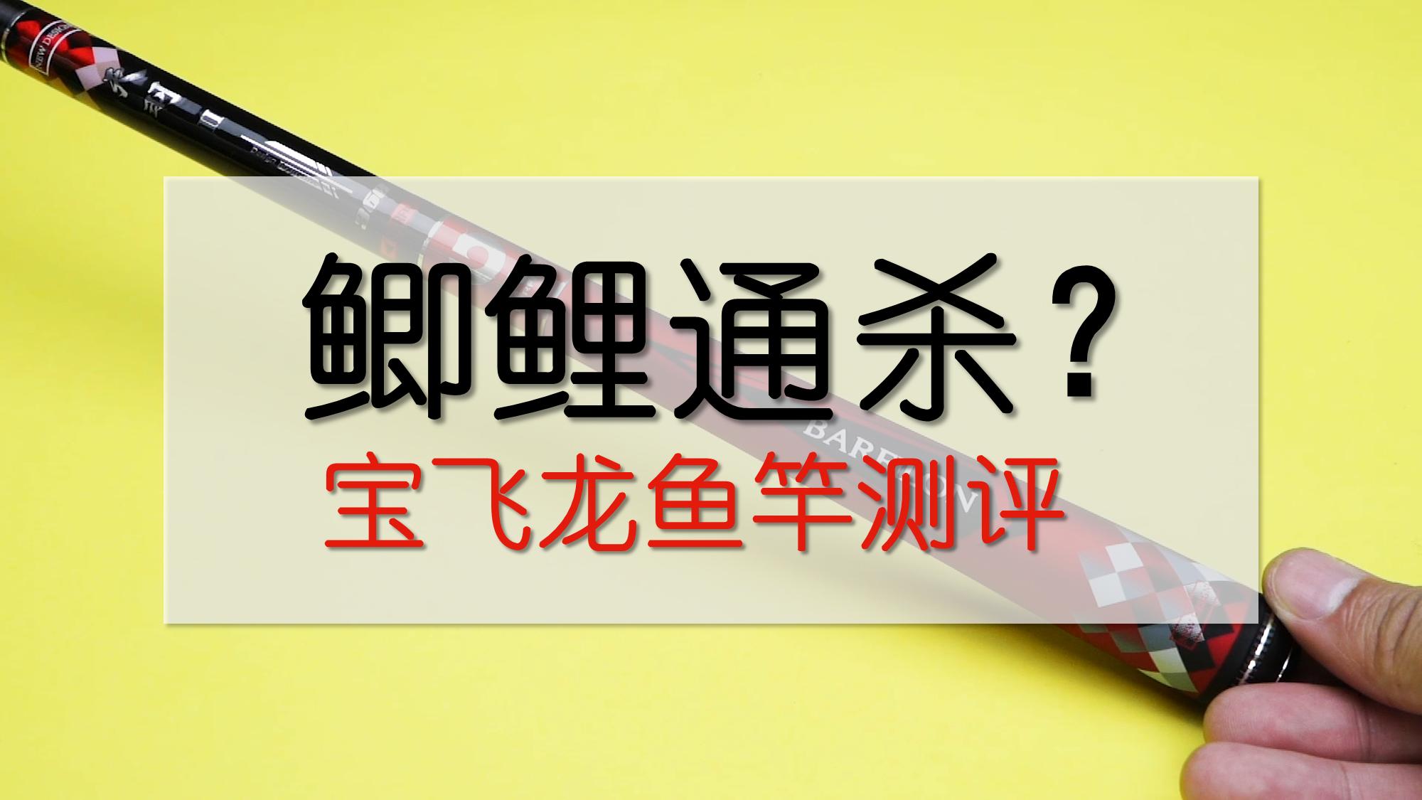宝飞龙28调龙啸鱼竿怎么样,宝飞龙龙韧鲫5.4鱼竿
