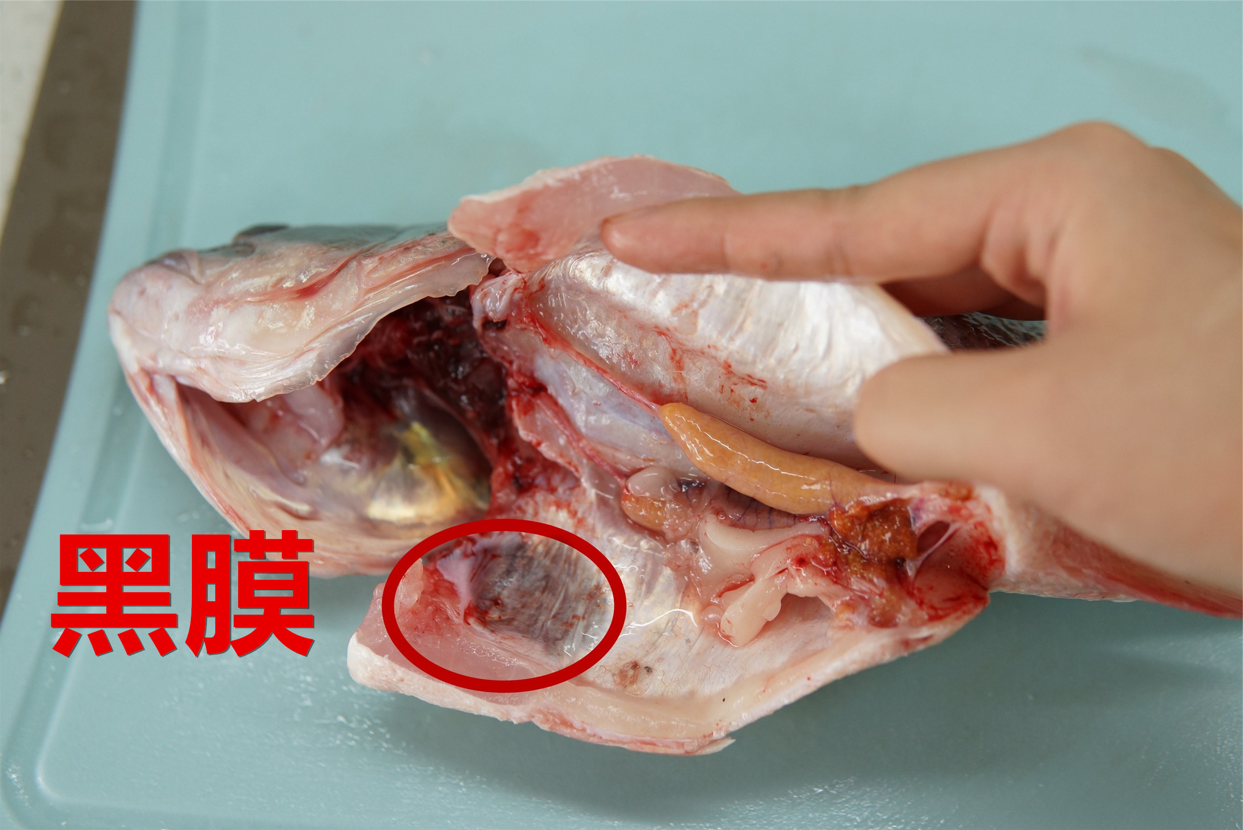 给鱼去腥,怎么给鱼去除腥线