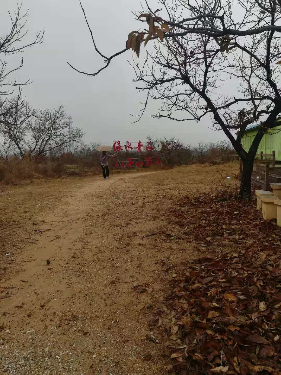 杂文系列四十一：冬天的蜜蜂不能冻死？，适者生存罢了