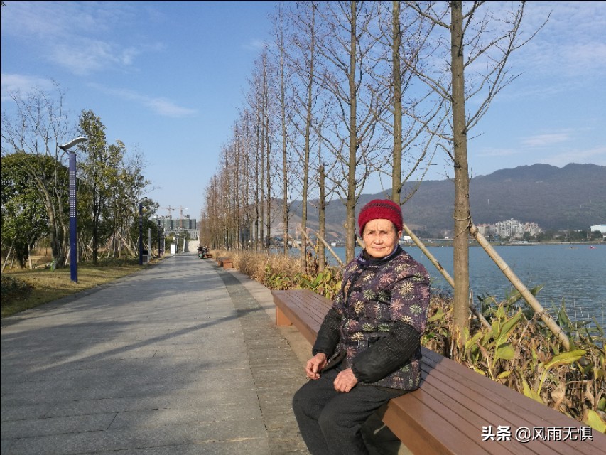 母爱无私而伟大的感悟,母爱为什么是最无私的