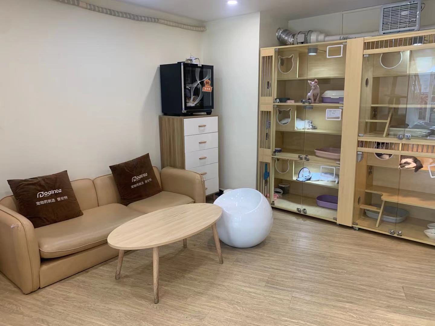 加盟宠物医院菲尔顿宠物药店,菲尔顿宠物招商