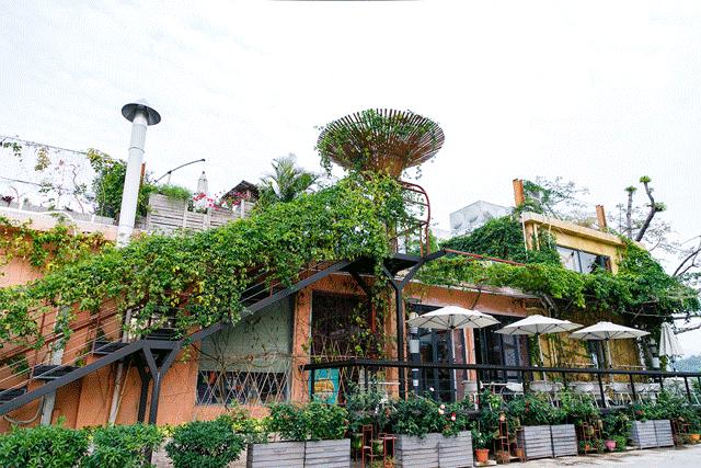 坐11号线去深圳看海,11号线碧海湾看海