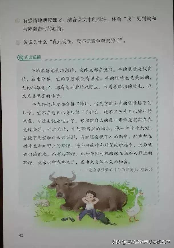 四年级上册语文电子课本,四年级上册语文课本内容