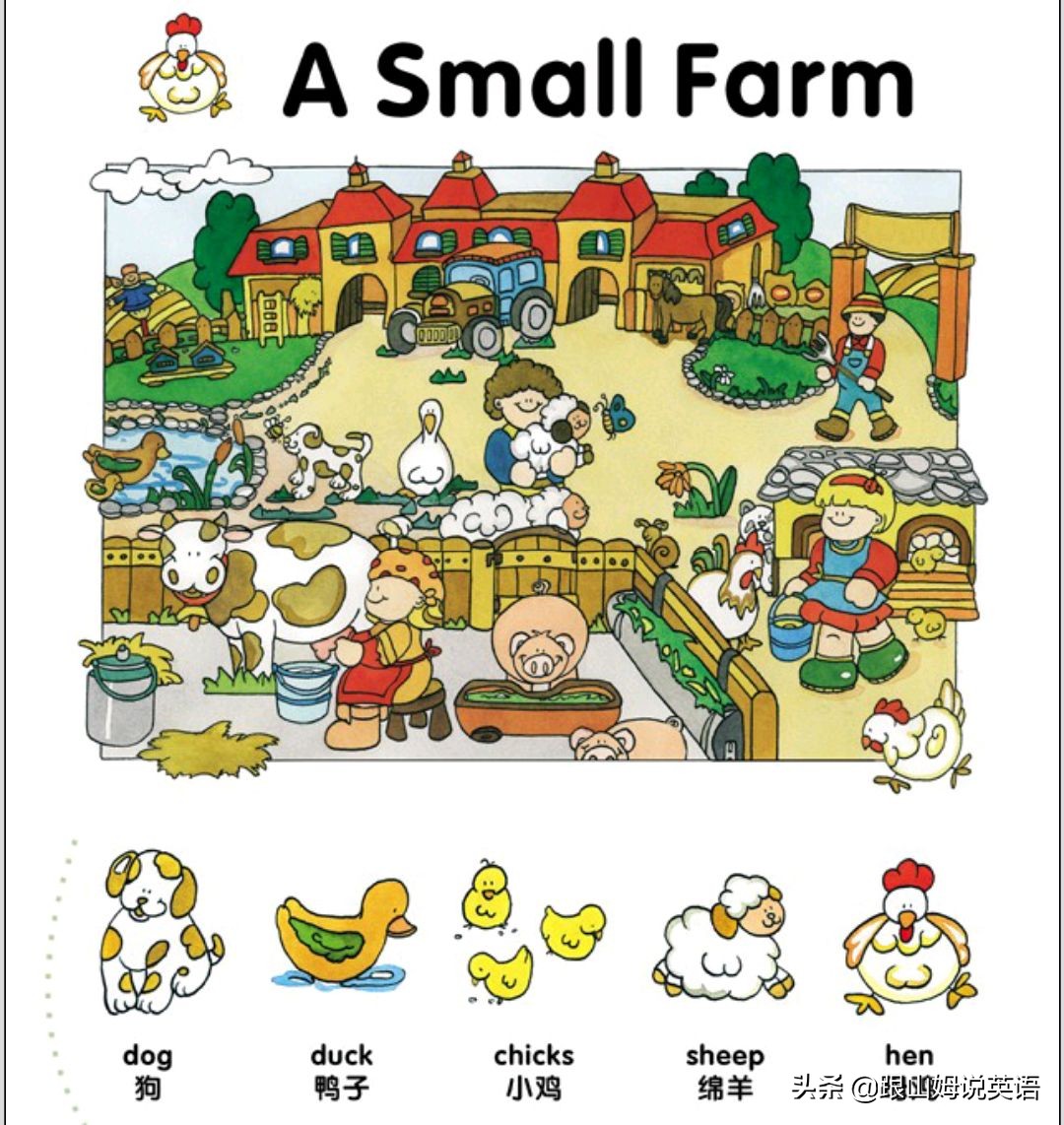 90幅图速记1000个初中英语单词,90幅图轻松记1000个单词