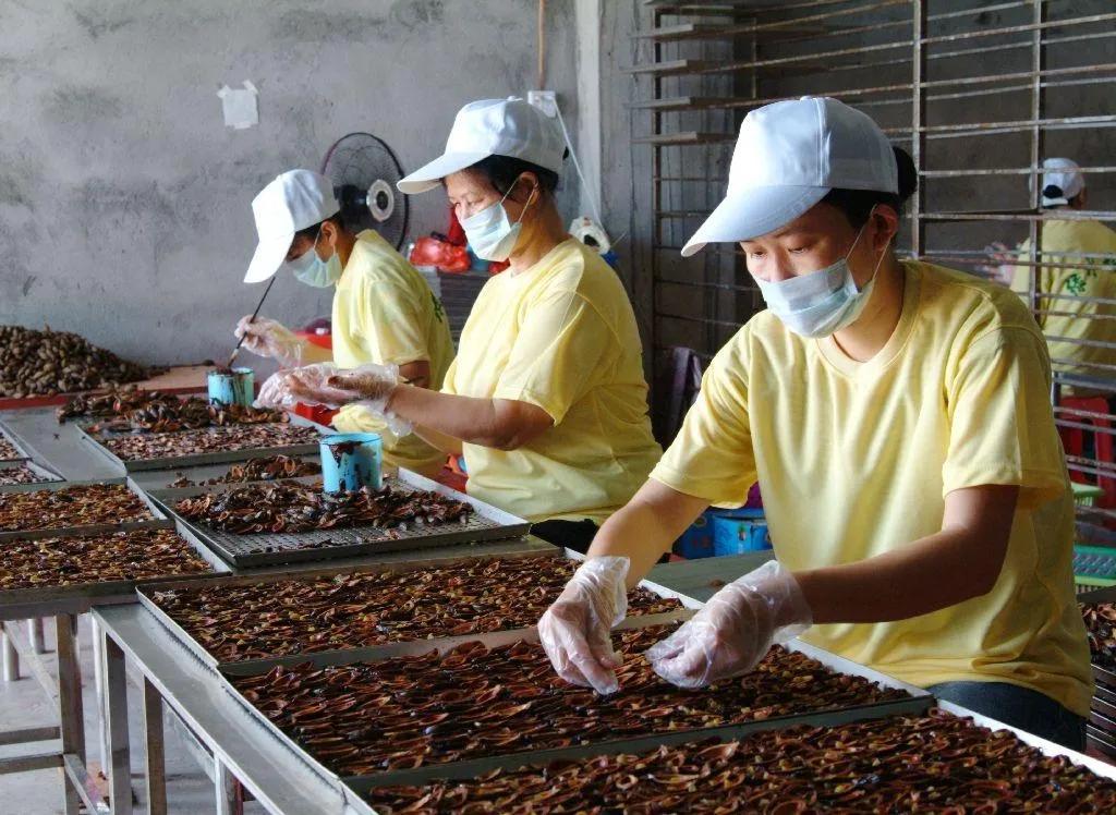 吃槟榔犯病是什么情况,吃槟榔脏器衰竭