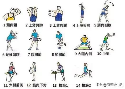 羽毛球赛前热身四点,打羽毛球前的热身动作