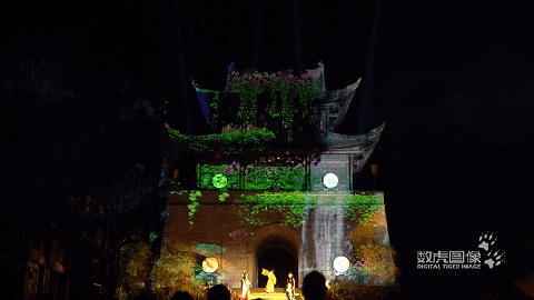 属虎,数虎图像深圳