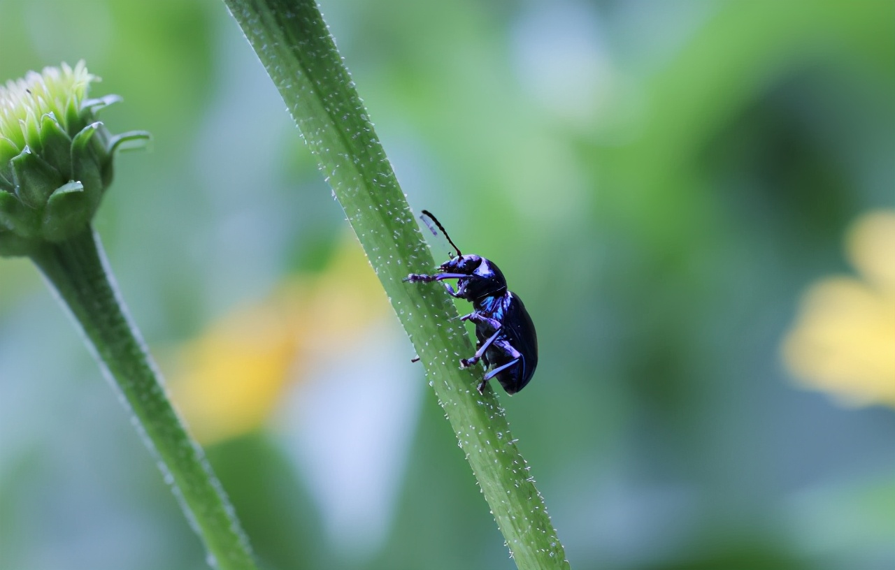 佳能最值得买的三个镜头,佳能全画幅无反推荐