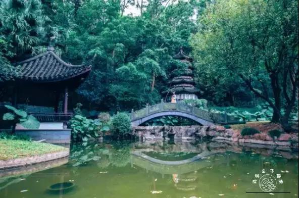 深圳遛娃50个必去的主题公园,深圳遛娃必去景点免费全部列表