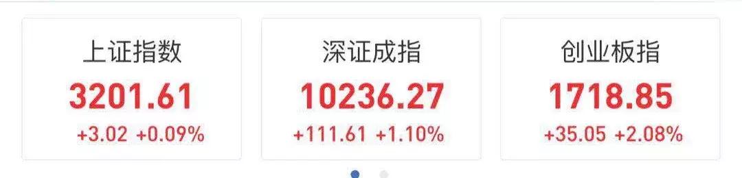 今天你是抓鹰了,还是被鹰抓了