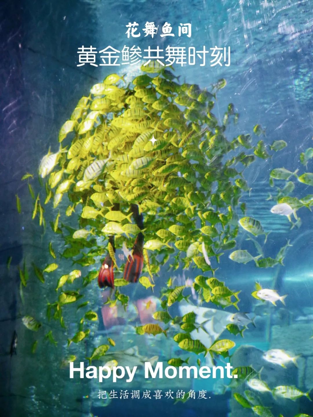 开启非凡住宿万豪旅享家,万豪旅享家邂逅城市五星级酒店