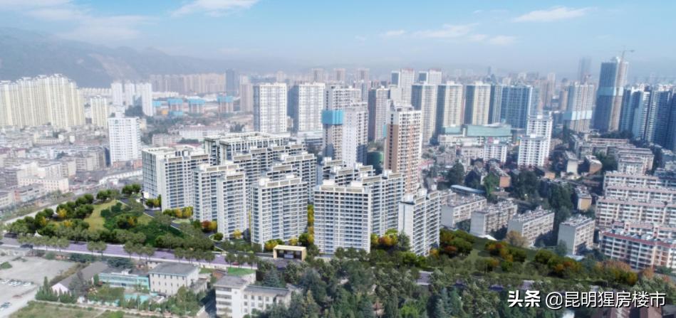 西市区这个新盘能买吗,西市区最好的房源