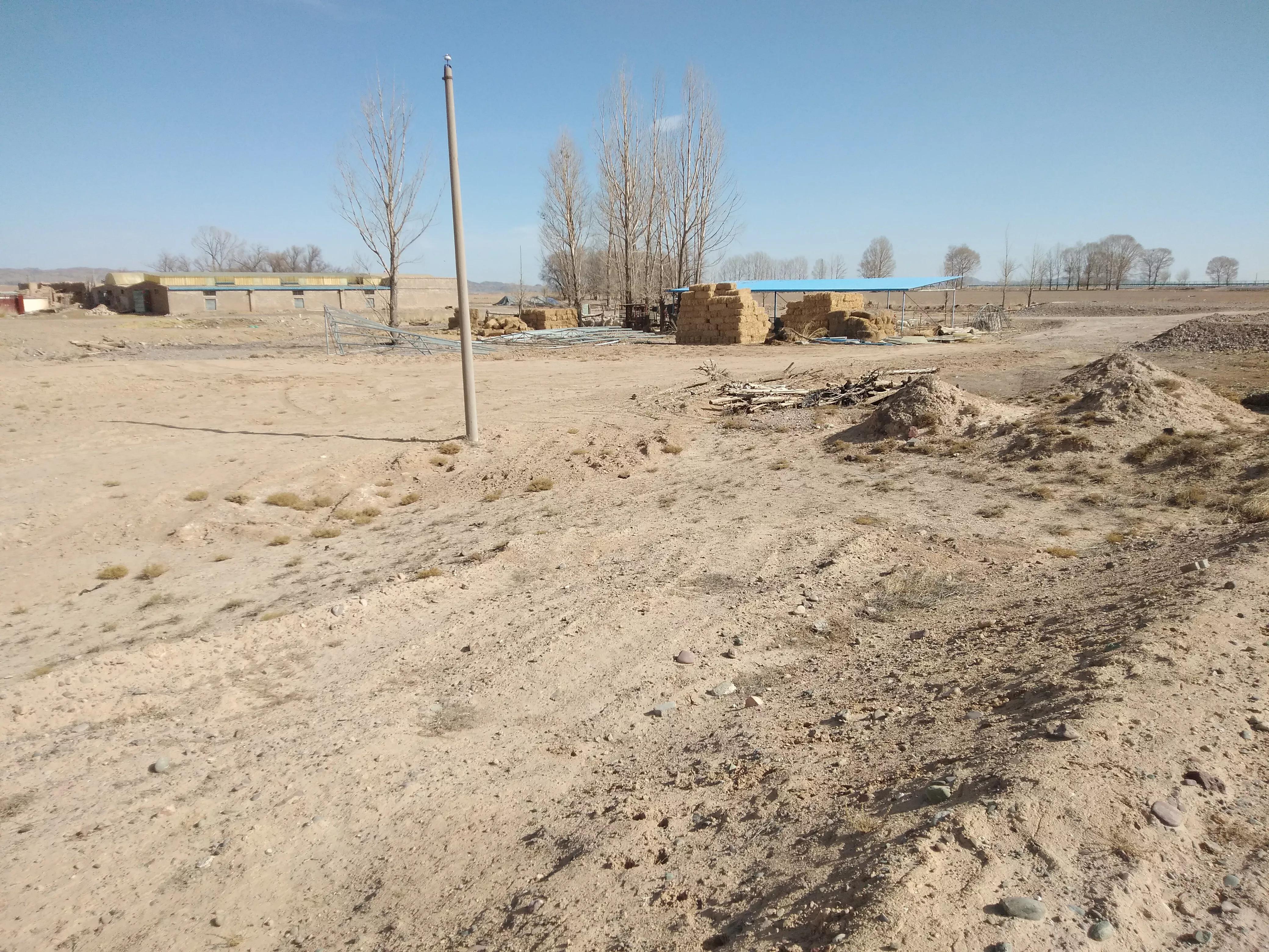 40万修建的羊场,如今却荒草丛生,看完真实情况让人心痛