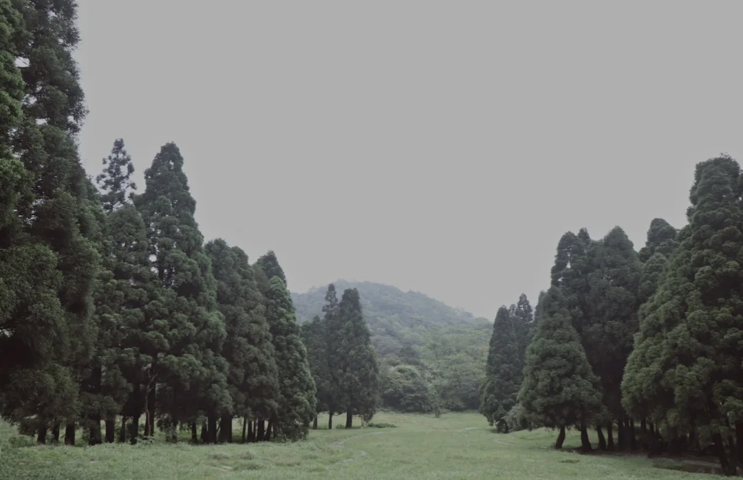 大容山露营三个露营点的区别,广西大容山森林公园露营