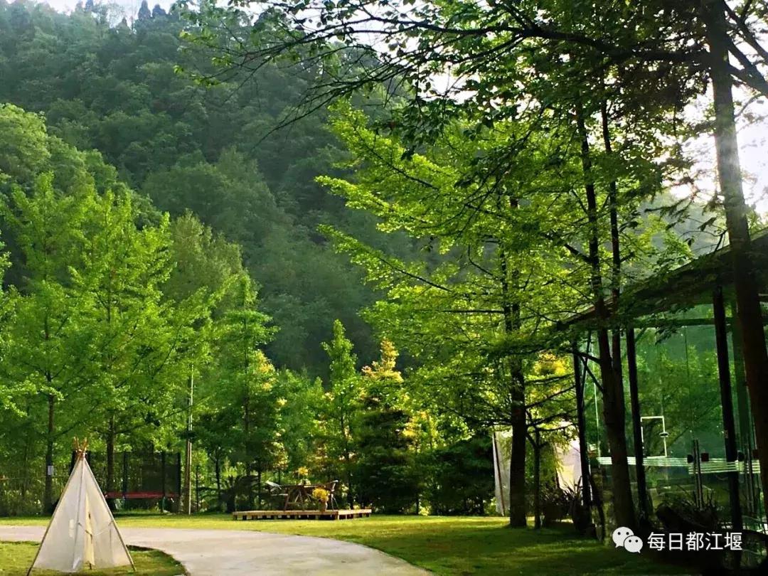 青城山十大顶级神仙民宿,藏在青城山里民宿