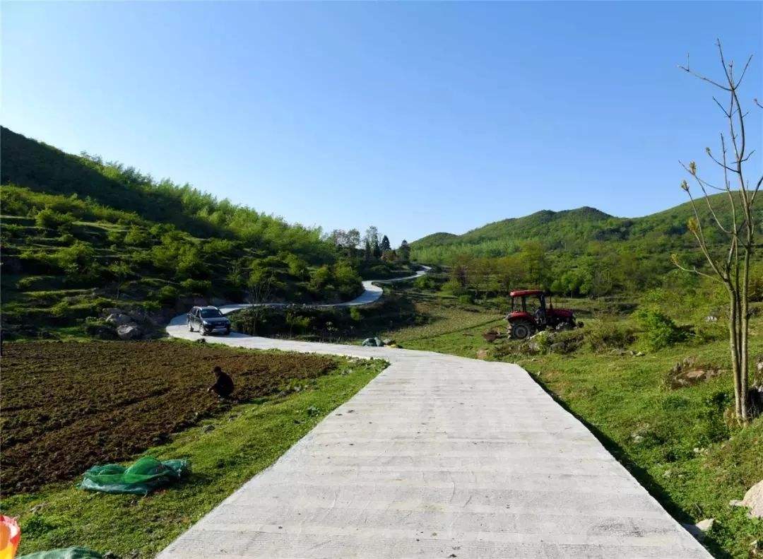 从化新开田园民宿,从化民宿推荐森林覆盖率高