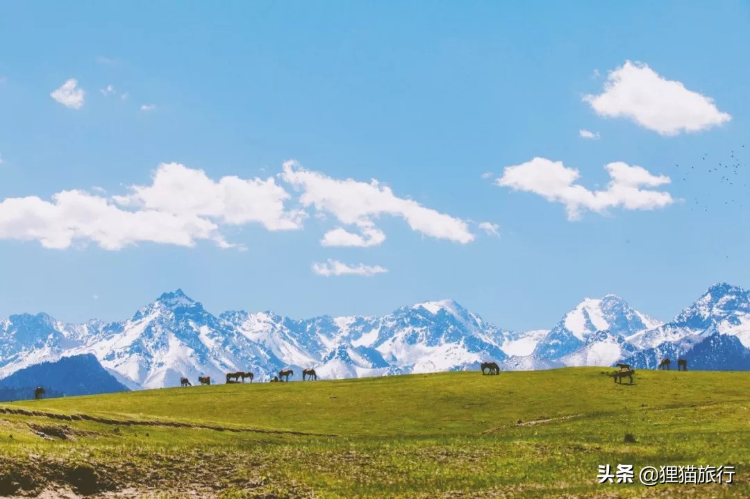 美丽富饶的新疆视频,美丽的新疆沙湾