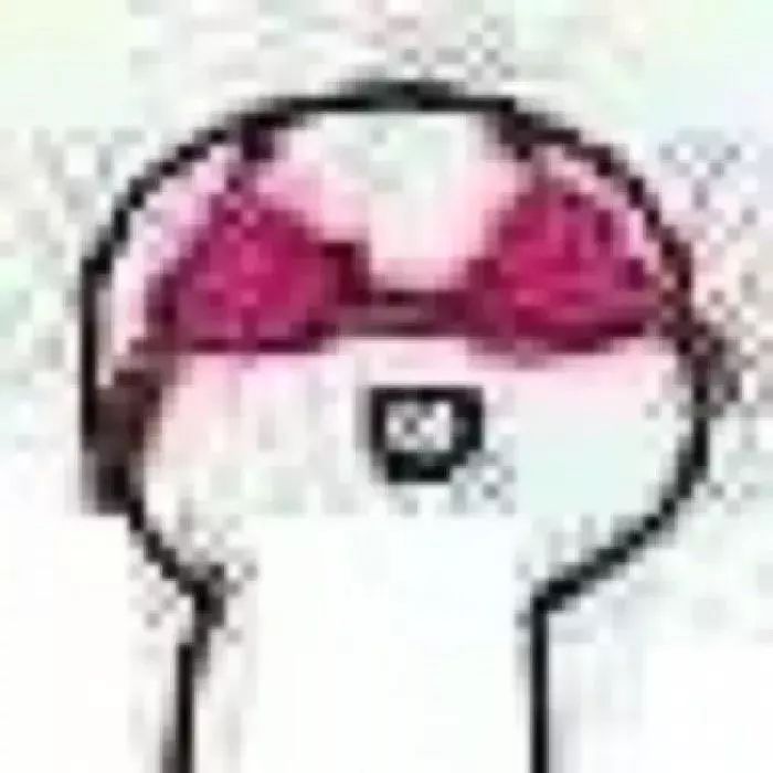 各大牌新年限量款,大牌猪年限定单品图片