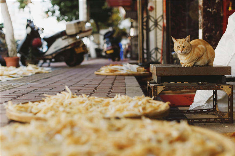 潮汕的鱼胶甜的,潮汕高档名菜鱼胶