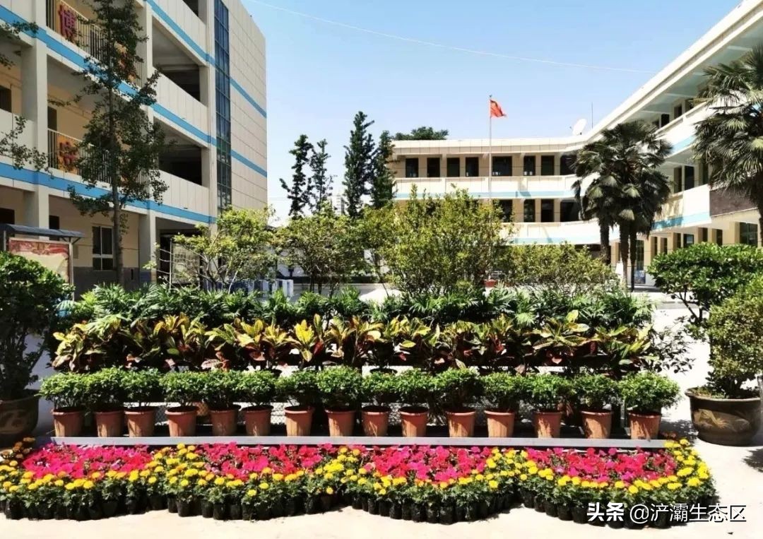 家门口的好学校（十）：西工大附小龙湖分校“名校+”教育联合体