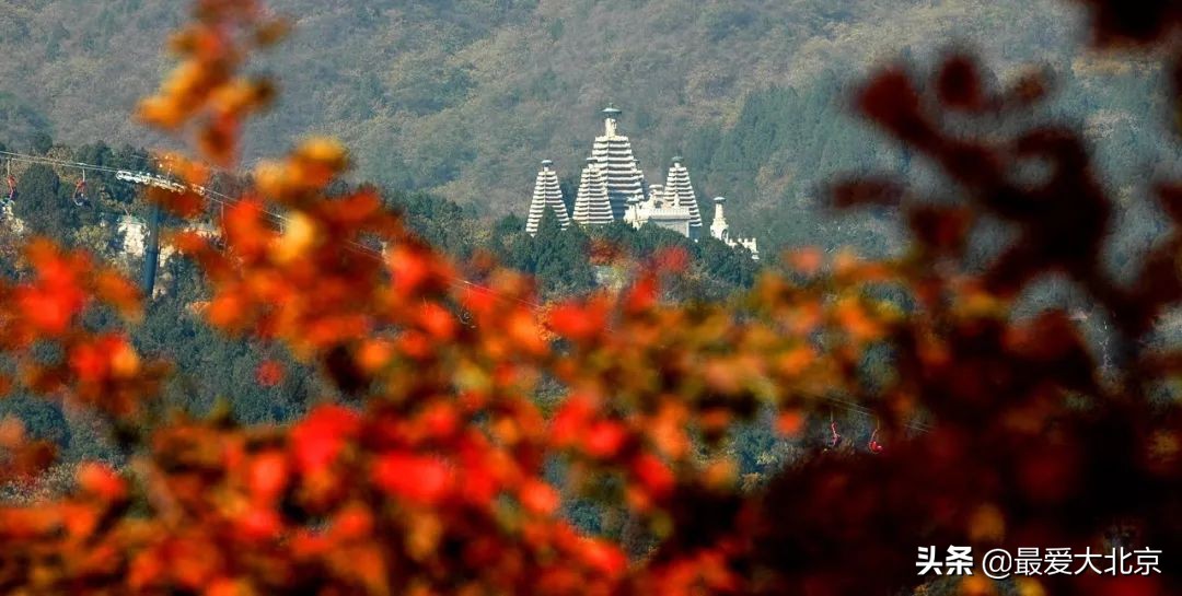 香山红叶几月去最好香山用预约吗,去北京香山看红叶别去爬山吗
