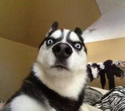 我要疯了我该怎么办,我要疯了怎么办