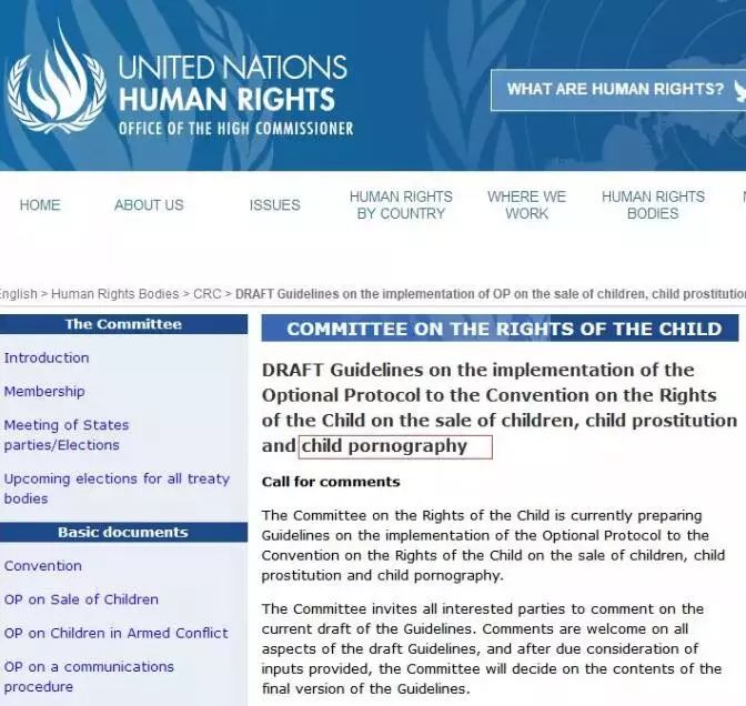 日本同人动漫展,日本同人展