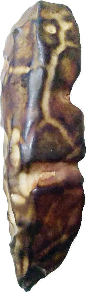 百宝筝议丨天陨灵石玩珍